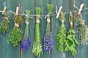 herbs to treat nail fungus